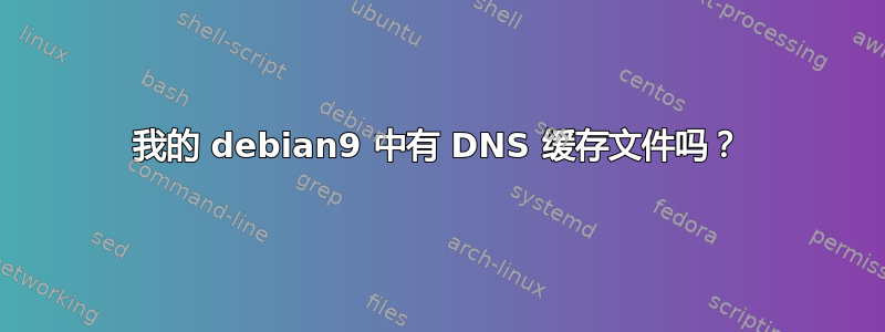 我的 debian9 中有 DNS 缓存文件吗？