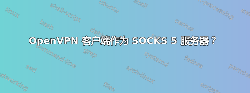 OpenVPN 客户端作为 SOCKS 5 服务器？