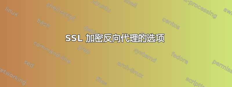 SSL 加密反向代理的选项