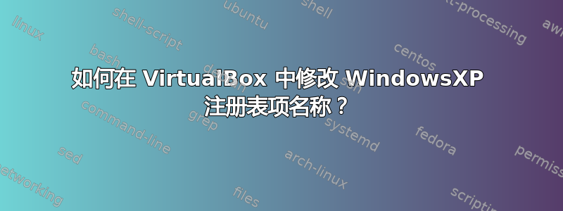 如何在 VirtualBox 中修改 WindowsXP 注册表项名称？