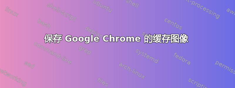 保存 Google Chrome 的缓存图像