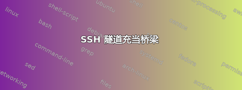 SSH 隧道充当桥梁