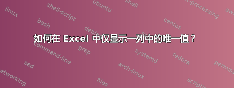 如何在 Excel 中仅显示一列中的唯一值？