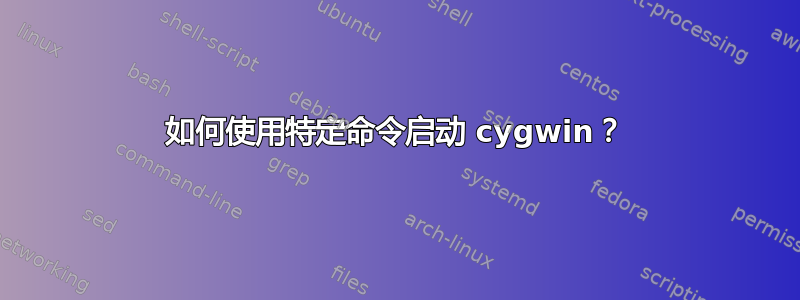 如何使用特定命令启动 cygwin？