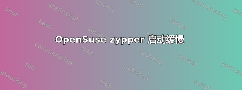 OpenSuse zypper 启动缓慢