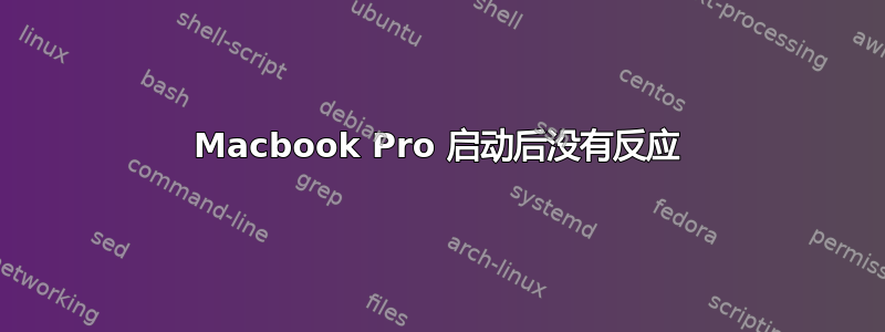 Macbook Pro 启动后没有反应