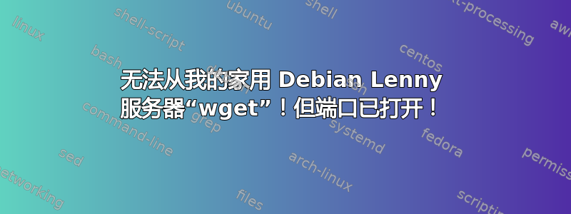 无法从我的家用 Debian Lenny 服务器“wget”！但端口已打开！