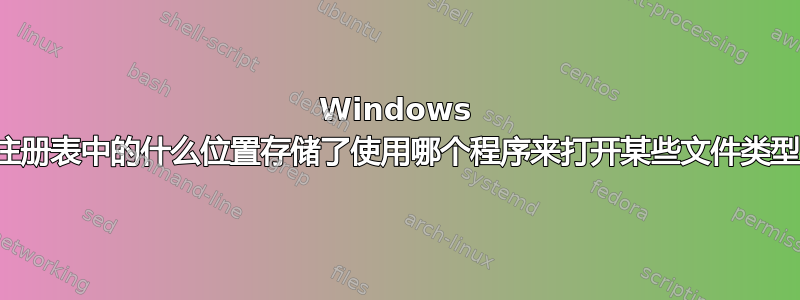 Windows 在注册表中的什么位置存储了使用哪个程序来打开某些文件类型？