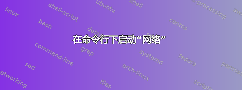 在命令行下启动“网络”