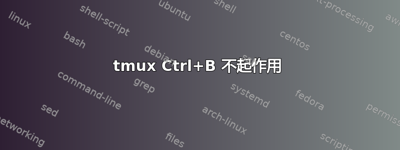 tmux Ctrl+B 不起作用