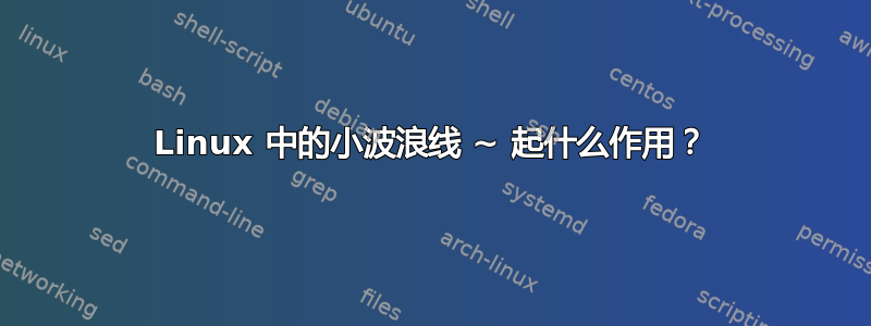 Linux 中的小波浪线 ~ 起什么作用？