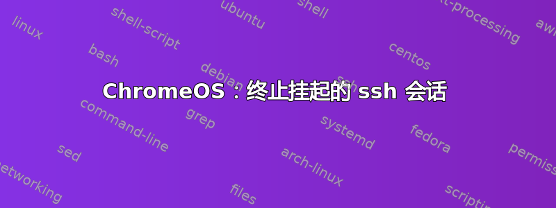 ChromeOS：终止挂起的 ssh 会话