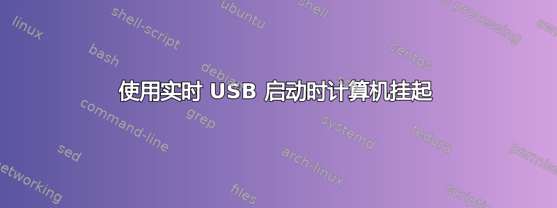 使用实时 USB 启动时计算机挂起