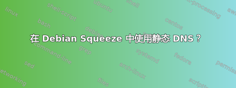 在 Debian Squeeze 中使用静态 DNS？