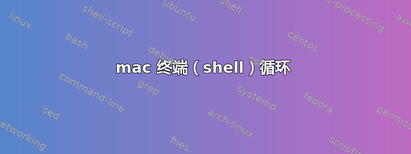 mac 终端（shell）循环