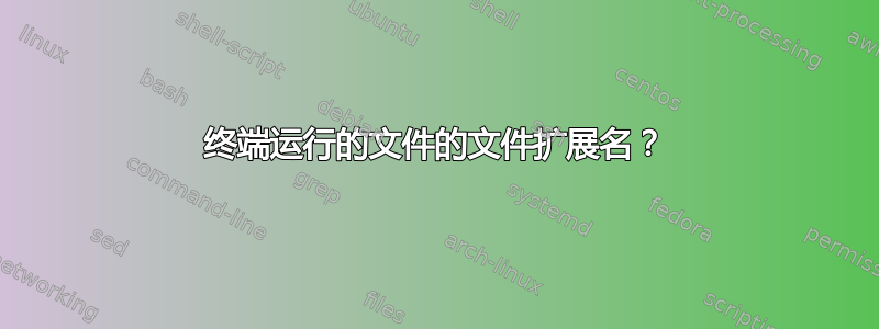 终端运行的文件的文件扩展名？