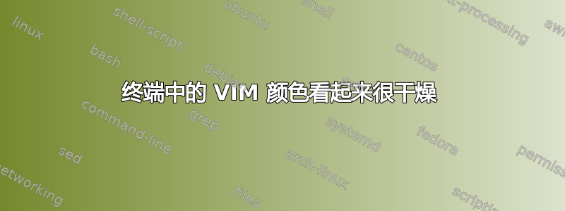 终端中的 VIM 颜色看起来很干燥