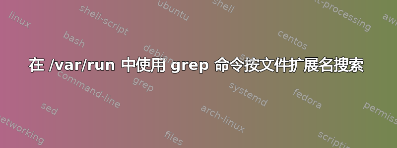 在 /var/run 中使用 grep 命令按文件扩展名搜索