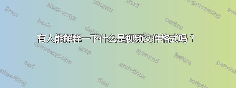 有人能解释一下什么是视频文件格式吗？