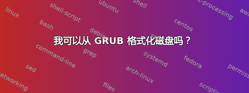 我可以从 GRUB 格式化磁盘吗？