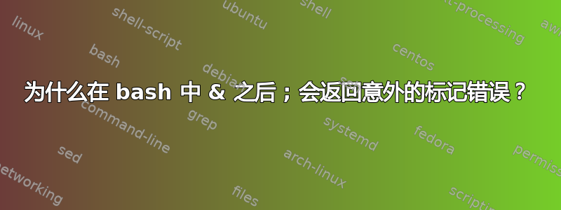 为什么在 bash 中 & 之后 ; 会返回意外的标记错误？