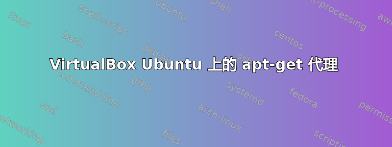 VirtualBox Ubuntu 上的 apt-get 代理