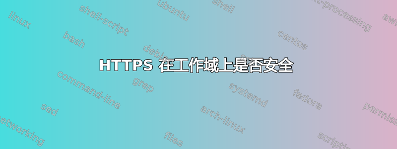 HTTPS 在工作域上是否安全