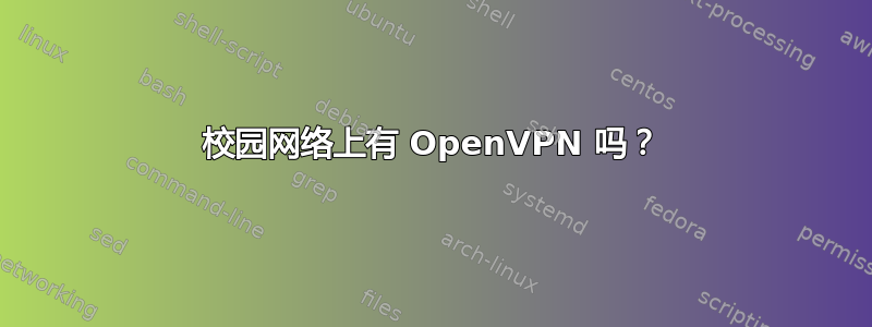 校园网络上有 OpenVPN 吗？