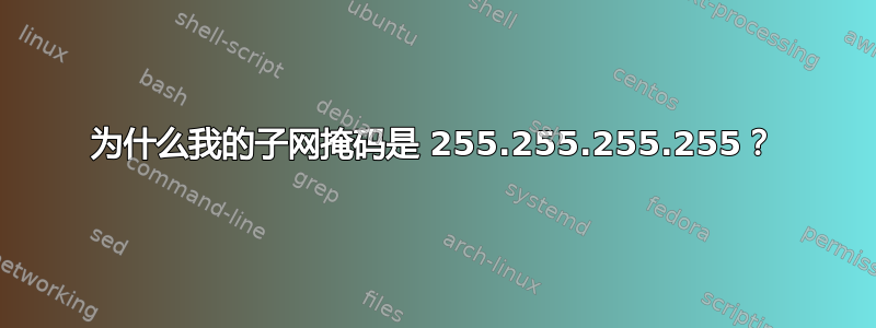 为什么我的子网掩码是 255.255.255.255？