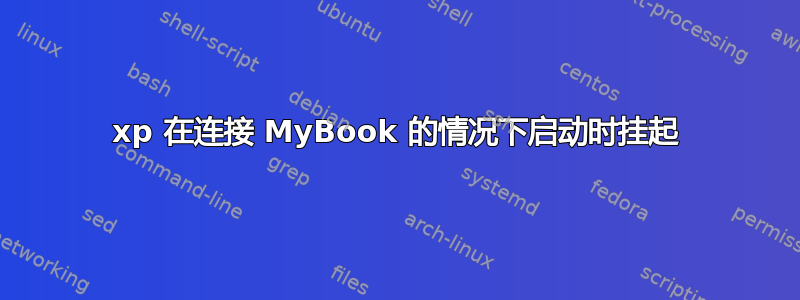 xp 在连接 MyBook 的情况下启动时挂起