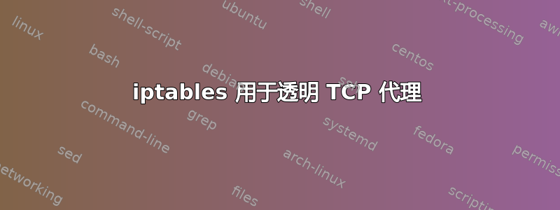 iptables 用于透明 TCP 代理