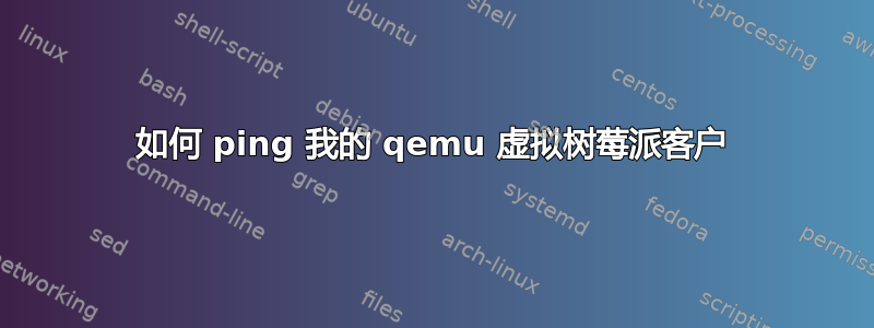 如何 ping 我的 qemu 虚拟树莓派客户