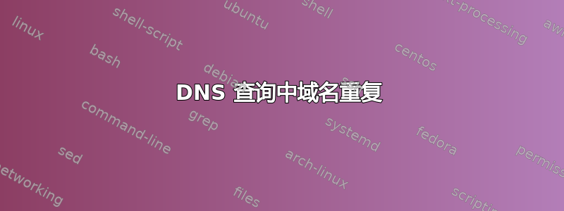 DNS 查询中域名重复