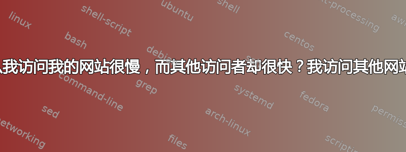 为什么我访问我的网站很慢，而其他访问者却很快？我访问其他网站很快