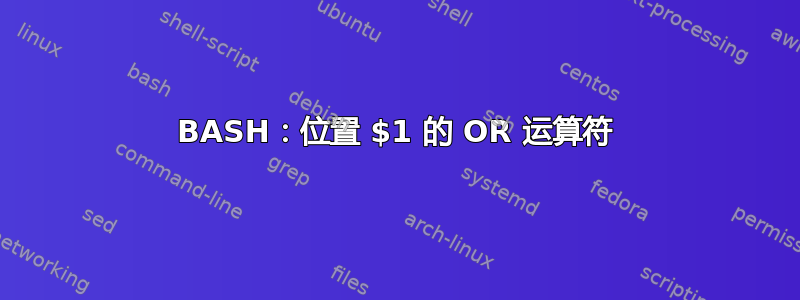 BASH：位置 $1 的 OR 运算符