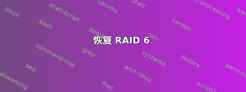 恢复 RAID 6