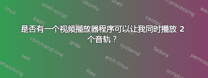 是否有一个视频播放器程序可以让我同时播放 2 个音轨？