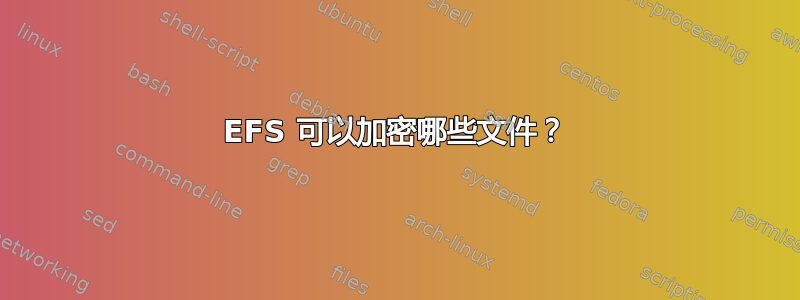 EFS 可以加密哪些文件？