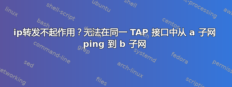 ip转发不起作用？无法在同一 TAP 接口中从 a 子网 ping 到 b 子网