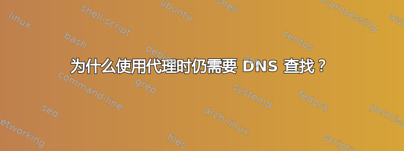 为什么使用代理时仍需要 DNS 查找？