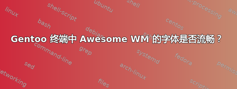 Gentoo 终端中 Awesome WM 的字体是否流畅？