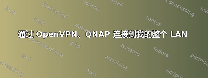 通过 OpenVPN、QNAP 连接到我的整个 LAN