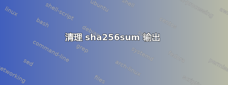 清理 sha256sum 输出