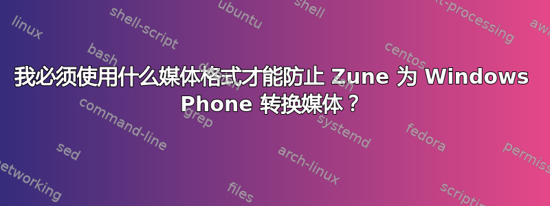 我必须使用什么媒体格式才能防止 Zune 为 Windows Phone 转换媒体？