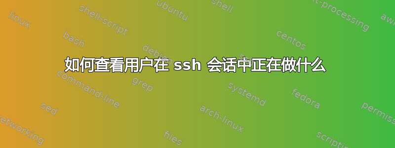 如何查看用户在 ssh 会话中正在做什么