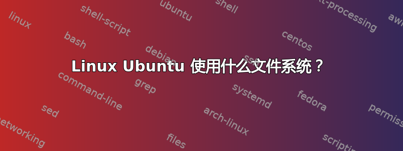 Linux Ubuntu 使用什么文件系统？