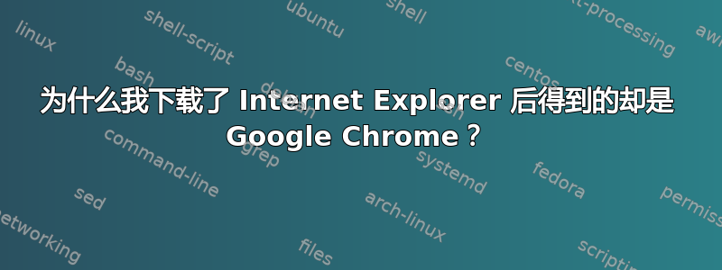 为什么我下载了 Internet Explorer 后得到的却是 Google Chrome？