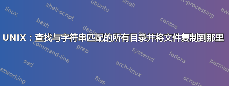 UNIX：查找与字符串匹配的所有目录并将文件复制到那里