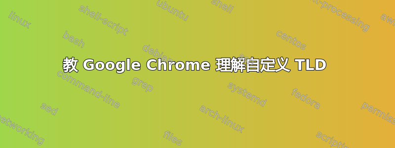 教 Google Chrome 理解自定义 TLD