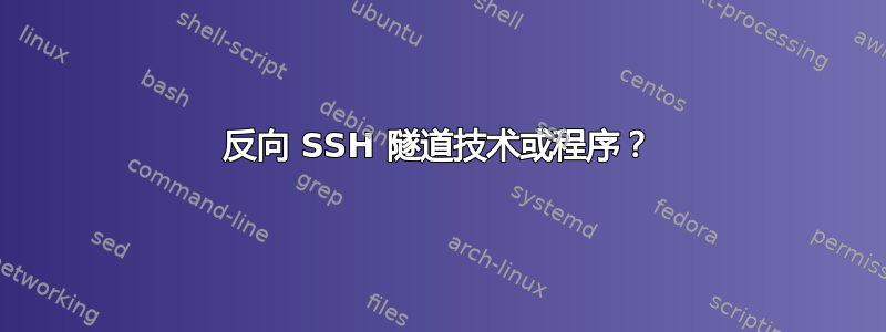 反向 SSH 隧道技术或程序？